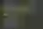 C Asserts